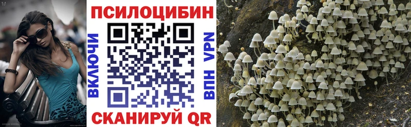 Псилоцибиновые грибы Psilocybe  Саки 